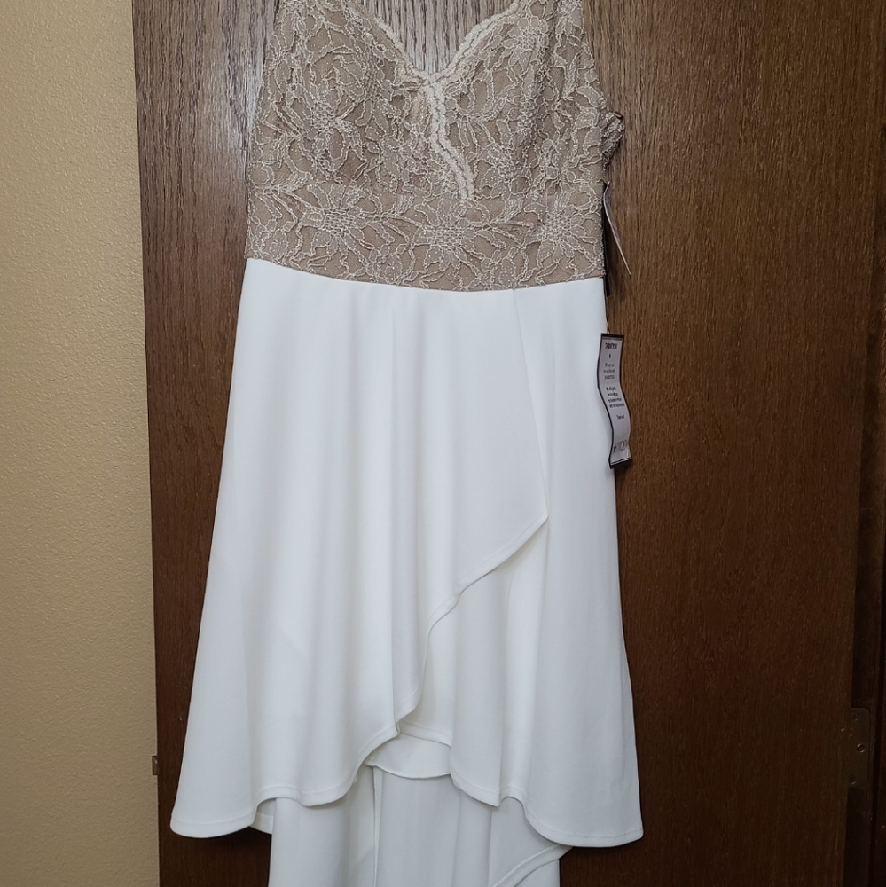 White and Gold dress